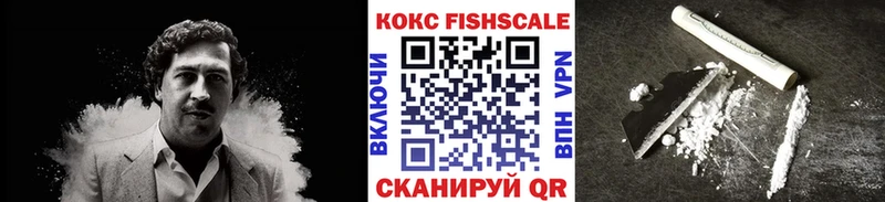 закладки Дигора COCAIN FishScale