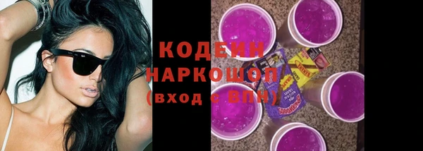 стаф Вязьма
