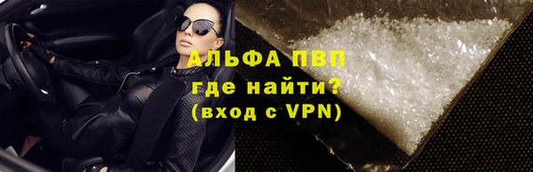 стаф Вязьма