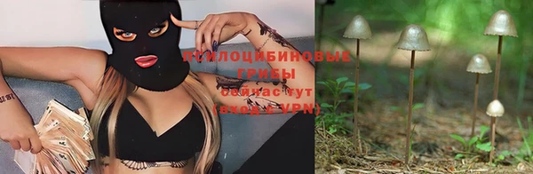 первитин Вяземский