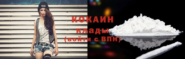 стаф Вязьма