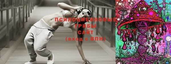 первитин Вяземский
