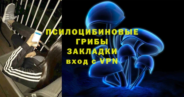 первитин Вяземский