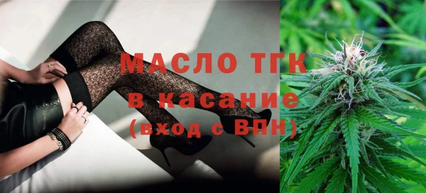 стаф Вязьма