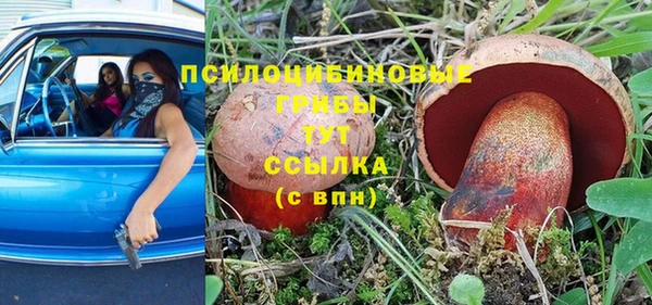 гидропоника Вязники