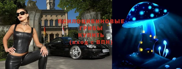 первитин Вяземский