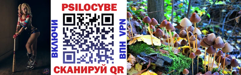 купить наркотик  ссылка на мегу маркетплейс  Галлюциногенные грибы GOLDEN TEACHER  Дигора 